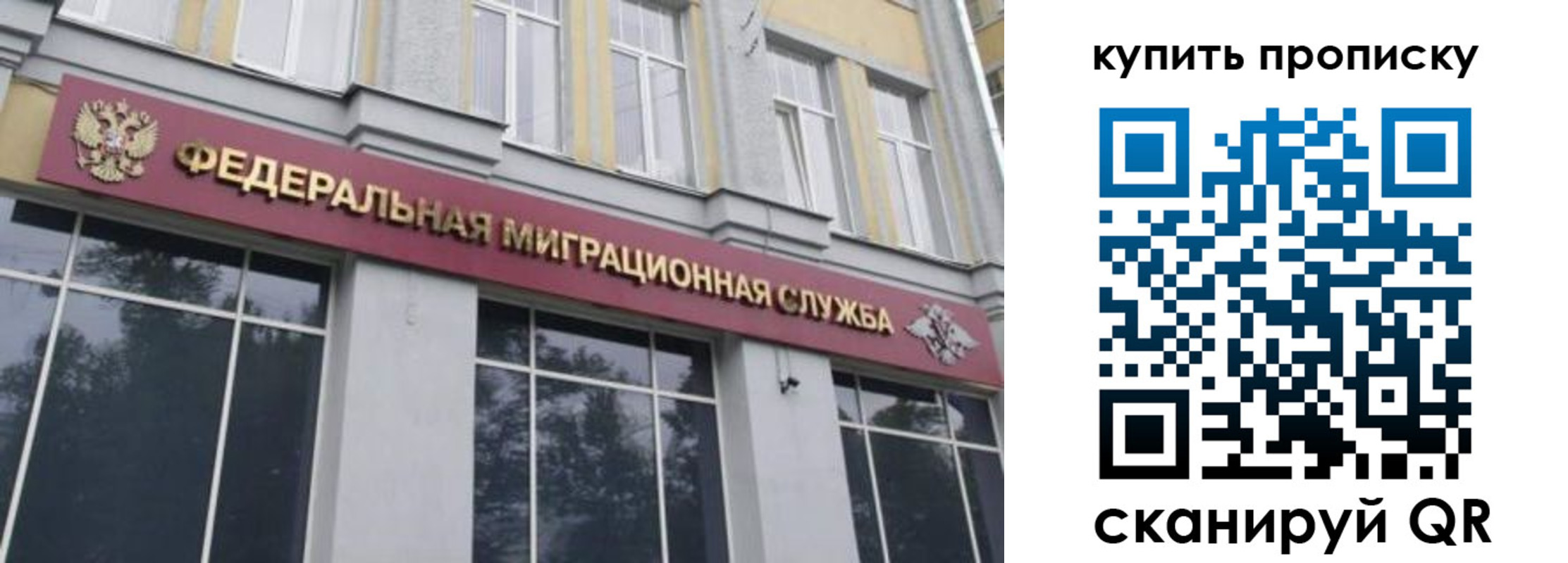 прописка поиск в Гатчине